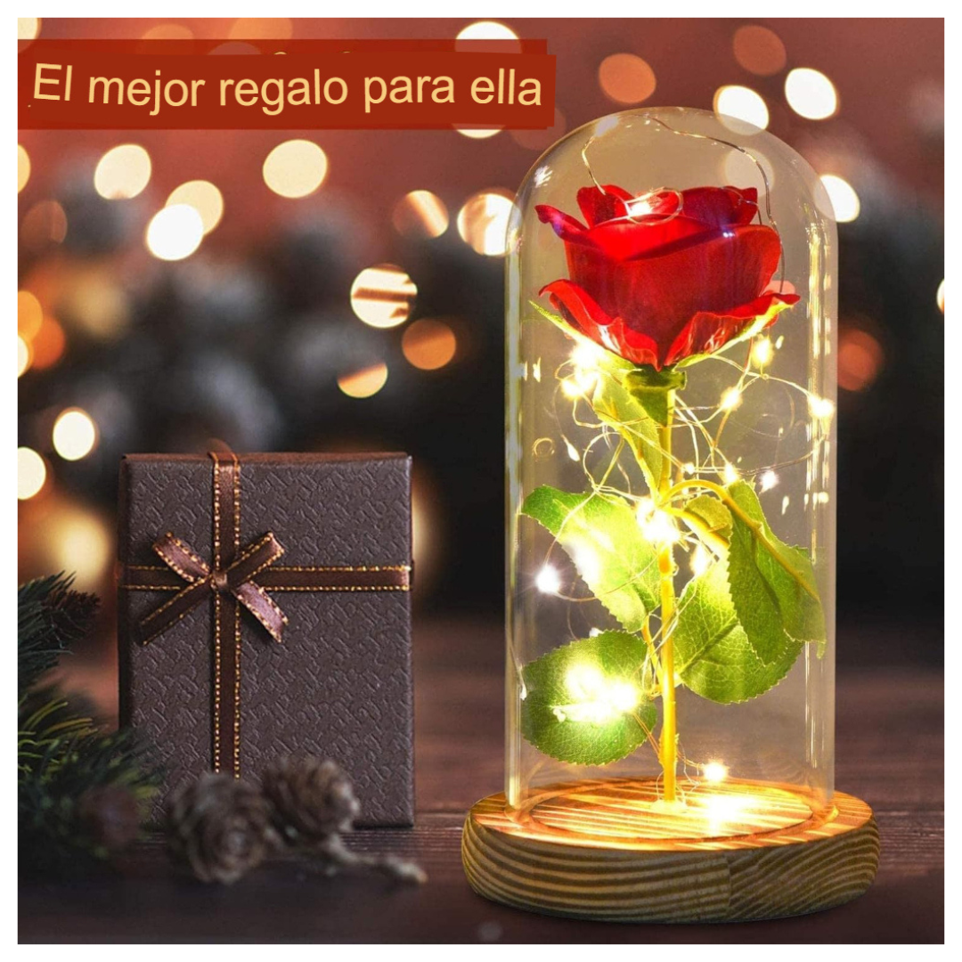 Rosa Luces LED Cálidas + Cúpula